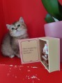 https://www.waibe.fr/sites/delphine59h/medias/images/__HIDDEN__galerie_19/IMG_20250609_164616.jpg