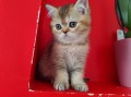 https://www.waibe.fr/sites/delphine59h/medias/images/__HIDDEN__galerie_19/IMG_20250609_164654.jpg