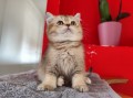 https://www.waibe.fr/sites/delphine59h/medias/images/__HIDDEN__galerie_19/IMG_20250609_164827.jpg