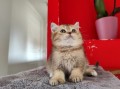 https://www.waibe.fr/sites/delphine59h/medias/images/__HIDDEN__galerie_19/IMG_20250609_164834.jpg