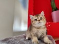 https://www.waibe.fr/sites/delphine59h/medias/images/__HIDDEN__galerie_19/IMG_20250609_164847.jpg