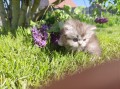 https://www.waibe.fr/sites/delphine59h/medias/images/__HIDDEN__galerie_19/IMG_20260424_162851.jpg