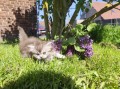 https://www.waibe.fr/sites/delphine59h/medias/images/__HIDDEN__galerie_19/IMG_20260424_162856.jpg