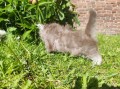 https://www.waibe.fr/sites/delphine59h/medias/images/__HIDDEN__galerie_19/IMG_20260424_162902.jpg