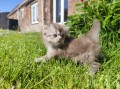 https://www.waibe.fr/sites/delphine59h/medias/images/__HIDDEN__galerie_19/IMG_20260424_162912.jpg