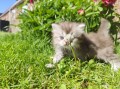 https://www.waibe.fr/sites/delphine59h/medias/images/__HIDDEN__galerie_19/IMG_20260424_162921.jpg