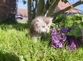 https://www.waibe.fr/sites/delphine59h/medias/images/__HIDDEN__galerie_19/IMG_20260424_162932.jpg