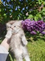 https://www.waibe.fr/sites/delphine59h/medias/images/__HIDDEN__galerie_19/IMG_20260424_162943.jpg
