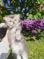 https://www.waibe.fr/sites/delphine59h/medias/images/__HIDDEN__galerie_19/IMG_20260424_162945.jpg
