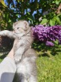 https://www.waibe.fr/sites/delphine59h/medias/images/__HIDDEN__galerie_19/IMG_20260424_162947.jpg