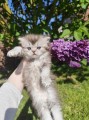 https://www.waibe.fr/sites/delphine59h/medias/images/__HIDDEN__galerie_19/IMG_20260424_162947_1.jpg
