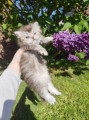https://www.waibe.fr/sites/delphine59h/medias/images/__HIDDEN__galerie_19/IMG_20260424_163018.jpg