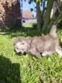 https://www.waibe.fr/sites/delphine59h/medias/images/__HIDDEN__galerie_19/IMG_20260424_163030.jpg