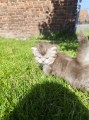 https://www.waibe.fr/sites/delphine59h/medias/images/__HIDDEN__galerie_19/IMG_20260424_163039.jpg