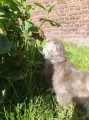 https://www.waibe.fr/sites/delphine59h/medias/images/__HIDDEN__galerie_19/IMG_20260424_163114.jpg