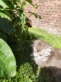 https://www.waibe.fr/sites/delphine59h/medias/images/__HIDDEN__galerie_19/IMG_20260424_163123.jpg