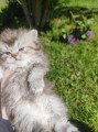 https://www.waibe.fr/sites/delphine59h/medias/images/__HIDDEN__galerie_19/IMG_20260424_163224.jpg