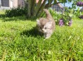 https://www.waibe.fr/sites/delphine59h/medias/images/__HIDDEN__galerie_19/IMG_20260424_163231.jpg
