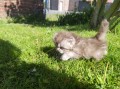 https://www.waibe.fr/sites/delphine59h/medias/images/__HIDDEN__galerie_19/IMG_20260424_163234.jpg