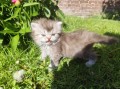 https://www.waibe.fr/sites/delphine59h/medias/images/__HIDDEN__galerie_19/IMG_20260424_163246_1.jpg