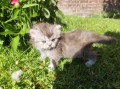 https://www.waibe.fr/sites/delphine59h/medias/images/__HIDDEN__galerie_19/IMG_20260424_163247.jpg