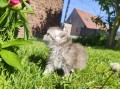 https://www.waibe.fr/sites/delphine59h/medias/images/__HIDDEN__galerie_19/IMG_20260424_163300.jpg
