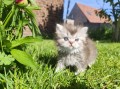 https://www.waibe.fr/sites/delphine59h/medias/images/__HIDDEN__galerie_19/IMG_20260424_163301.jpg