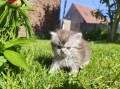 https://www.waibe.fr/sites/delphine59h/medias/images/__HIDDEN__galerie_19/IMG_20260424_163302.jpg