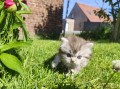 https://www.waibe.fr/sites/delphine59h/medias/images/__HIDDEN__galerie_19/IMG_20260424_163303.jpg