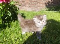 https://www.waibe.fr/sites/delphine59h/medias/images/__HIDDEN__galerie_19/IMG_20260424_163307.jpg