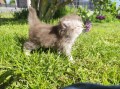 https://www.waibe.fr/sites/delphine59h/medias/images/__HIDDEN__galerie_19/IMG_20260424_163333.jpg