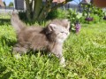 https://www.waibe.fr/sites/delphine59h/medias/images/__HIDDEN__galerie_19/IMG_20260424_163342.jpg