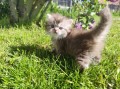 https://www.waibe.fr/sites/delphine59h/medias/images/__HIDDEN__galerie_19/IMG_20260424_163350.jpg