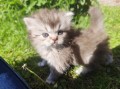 https://www.waibe.fr/sites/delphine59h/medias/images/__HIDDEN__galerie_19/IMG_20260424_163414.jpg