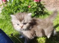 https://www.waibe.fr/sites/delphine59h/medias/images/__HIDDEN__galerie_19/IMG_20260424_163419.jpg