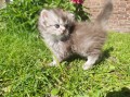 https://www.waibe.fr/sites/delphine59h/medias/images/__HIDDEN__galerie_19/IMG_20260424_163428.jpg