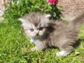 https://www.waibe.fr/sites/delphine59h/medias/images/__HIDDEN__galerie_19/IMG_20260424_163429.jpg