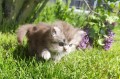 https://www.waibe.fr/sites/delphine59h/medias/images/__HIDDEN__galerie_19/IMG_20260424_172736.jpg