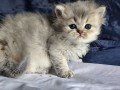 https://www.waibe.fr/sites/delphine59h/medias/images/__HIDDEN__galerie_19/IMG_20260908_142323.jpg