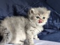 https://www.waibe.fr/sites/delphine59h/medias/images/__HIDDEN__galerie_19/IMG_20260908_142324_1.jpg
