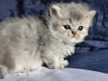 https://www.waibe.fr/sites/delphine59h/medias/images/__HIDDEN__galerie_19/IMG_20260908_142328.jpg