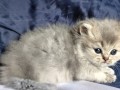 https://www.waibe.fr/sites/delphine59h/medias/images/__HIDDEN__galerie_19/IMG_20260908_142333.jpg
