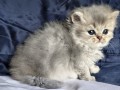 https://www.waibe.fr/sites/delphine59h/medias/images/__HIDDEN__galerie_19/IMG_20260908_142338.jpg