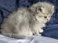 https://www.waibe.fr/sites/delphine59h/medias/images/__HIDDEN__galerie_19/IMG_20260908_142339.jpg