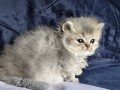 https://www.waibe.fr/sites/delphine59h/medias/images/__HIDDEN__galerie_19/IMG_20260908_142341.jpg
