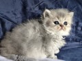 https://www.waibe.fr/sites/delphine59h/medias/images/__HIDDEN__galerie_19/IMG_20260908_142343.jpg