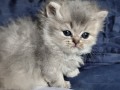 https://www.waibe.fr/sites/delphine59h/medias/images/__HIDDEN__galerie_19/IMG_20260908_142346.jpg