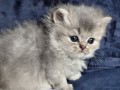 https://www.waibe.fr/sites/delphine59h/medias/images/__HIDDEN__galerie_19/IMG_20260908_142347.jpg