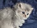 https://www.waibe.fr/sites/delphine59h/medias/images/__HIDDEN__galerie_19/IMG_20260908_142350.jpg