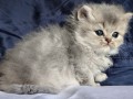 https://www.waibe.fr/sites/delphine59h/medias/images/__HIDDEN__galerie_19/IMG_20260908_142353.jpg